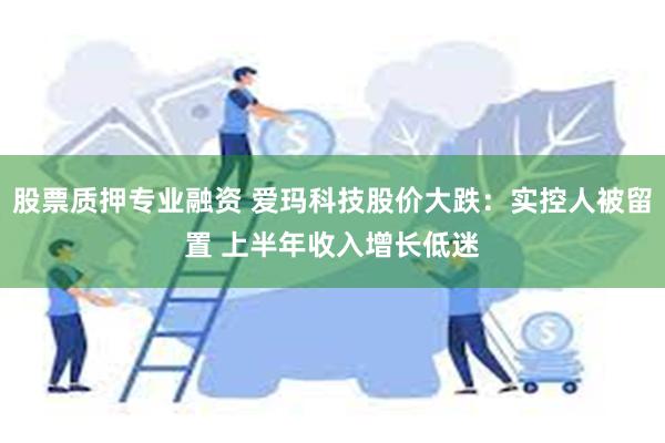 股票质押专业融资 爱玛科技股价大跌：实控人被留置 上半年收入增长低迷