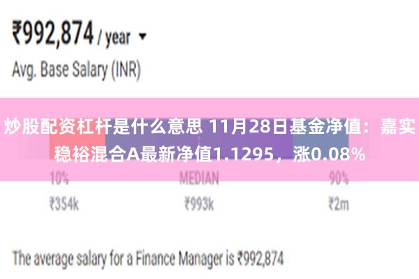 炒股配资杠杆是什么意思 11月28日基金净值：嘉实稳裕混合A最新净值1.1295，涨0.08%