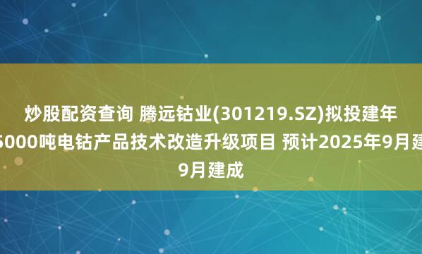 炒股配资查询 腾远钴业(301219.SZ)拟投建年产5000吨电钴产品技术改造升级项目 预计2025年9月建成