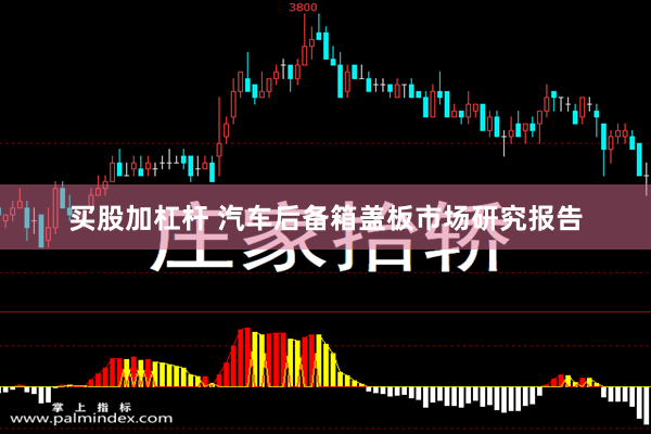 买股加杠杆 汽车后备箱盖板市场研究报告