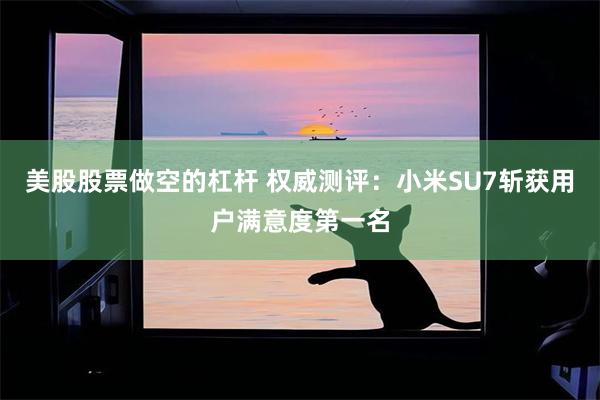 美股股票做空的杠杆 权威测评：小米SU7斩获用户满意度第一名